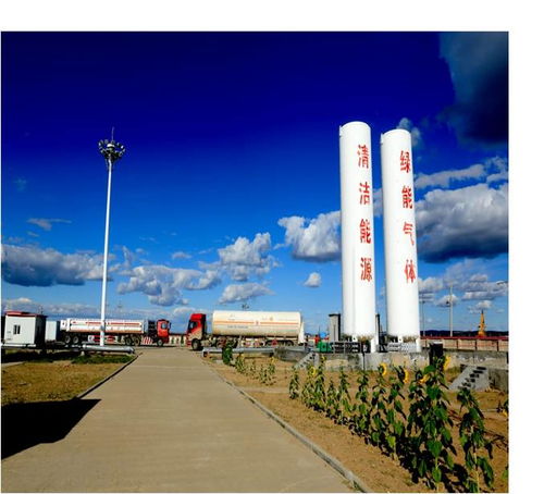 采油技术服务 提升油气采收率的关键支撑