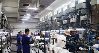 镜头记录变迁，笔墨书写新篇——十字路街道举办摄影与文学创作采风活动